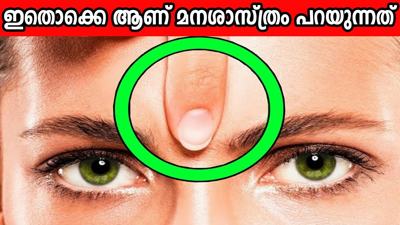 നിങ്ങൾ കേട്ടിട്ടുപോലുമില്ലാത്ത രസകരമായ സൈക്കോളജിക്കൽ ഫാക്ടുകൾ | Psychological facts in malayalam