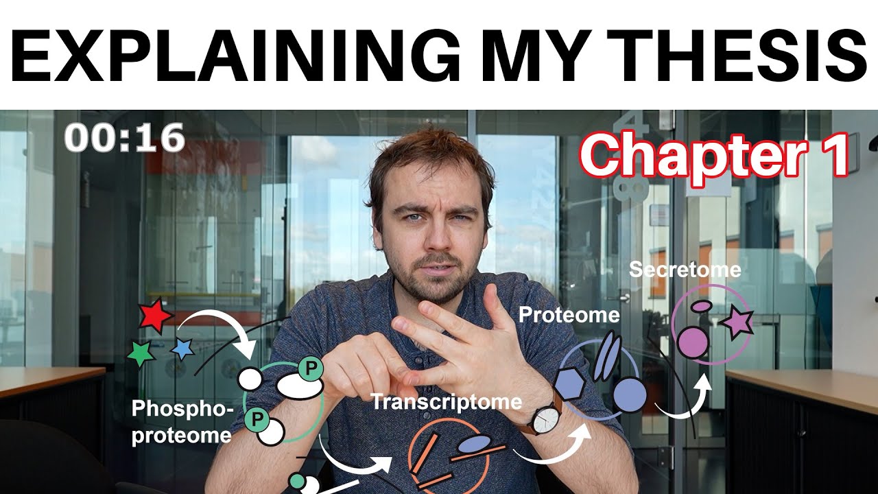 Explaining my thesis - Inflammatory cytokines & the endothelium