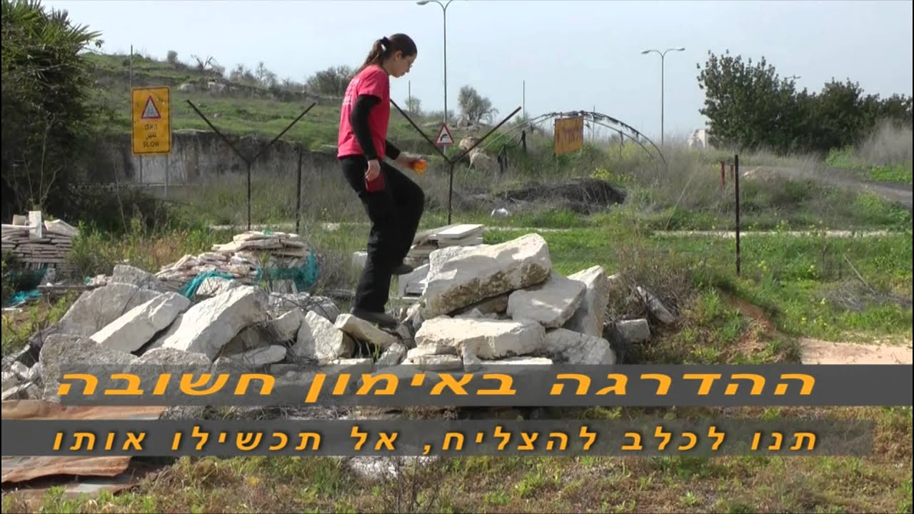 אילוף כלב לאתר ריחות - אורן עדיקא
