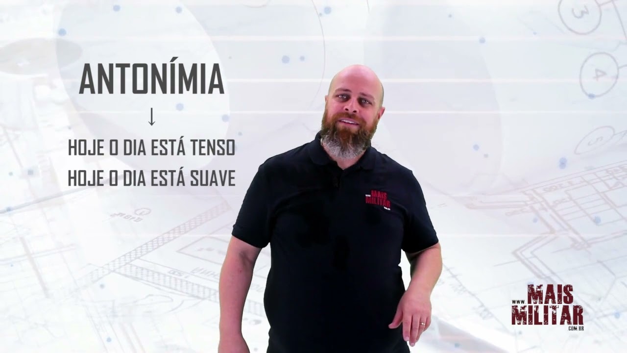 Sin&ocirc;nimos e Ant&ocirc;nimos | L&iacute;ngua Portuguesa | Prof. Noslen #12