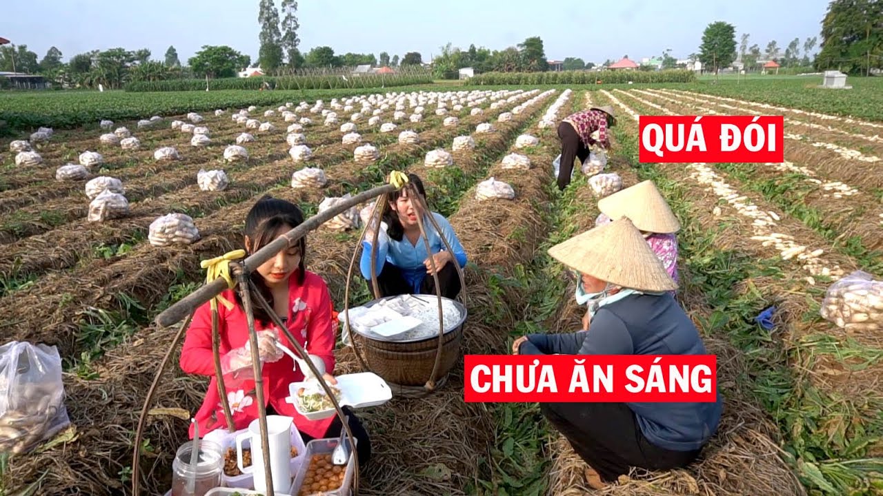 Thấy Đội Thợ Lao Động chưa Kịp Ăn Sáng, Chúng Em Tranh Thủ Bán Bánh Tằm Bánh Đúc ngay Tại Ruộng #85