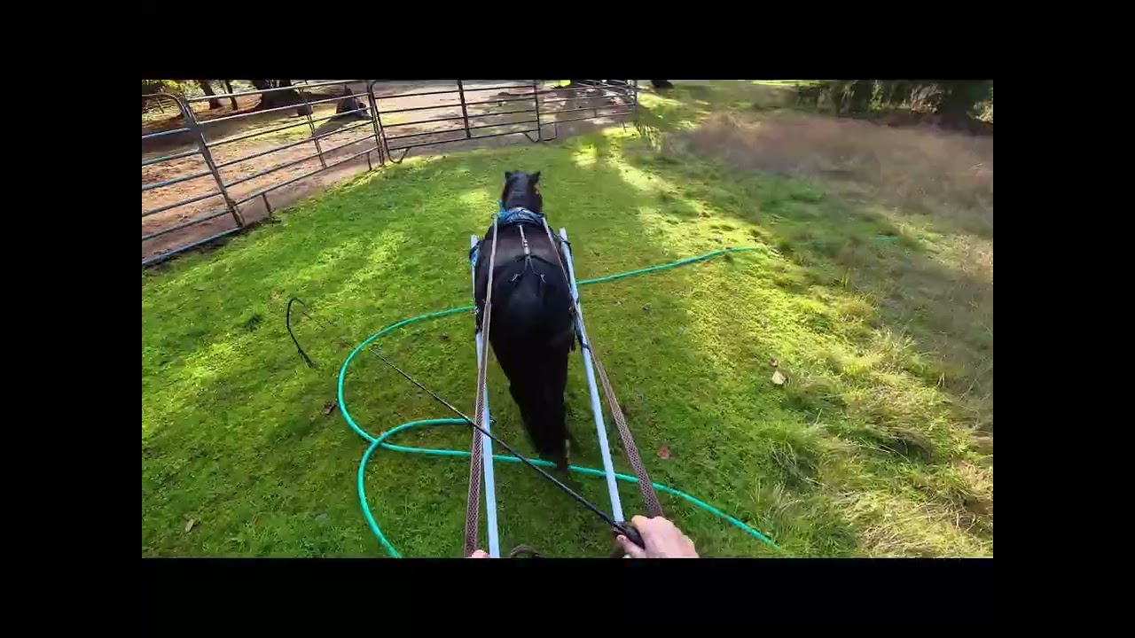 Week 7 - Better turns this week
