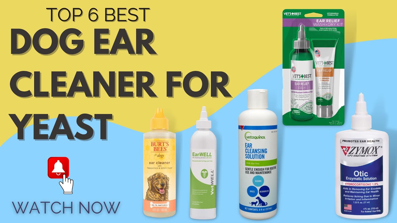 Top 6 Best Dog Ear Cleaner for Yeast Review in 2022 - [Effective & Gentle Dog Ear Cleaning Solution]