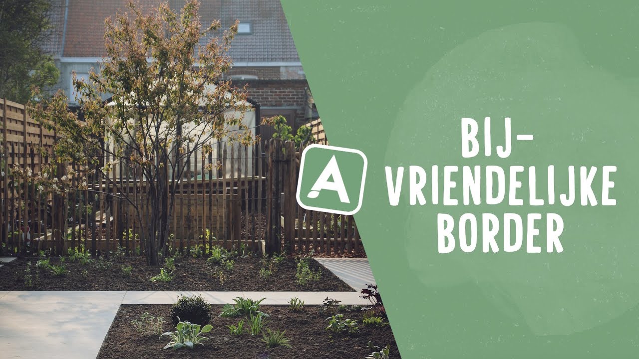 Een biodiverse bloemenzee I Bijvriendelijke border met witte en blauwe tinten I Angelo Dorny