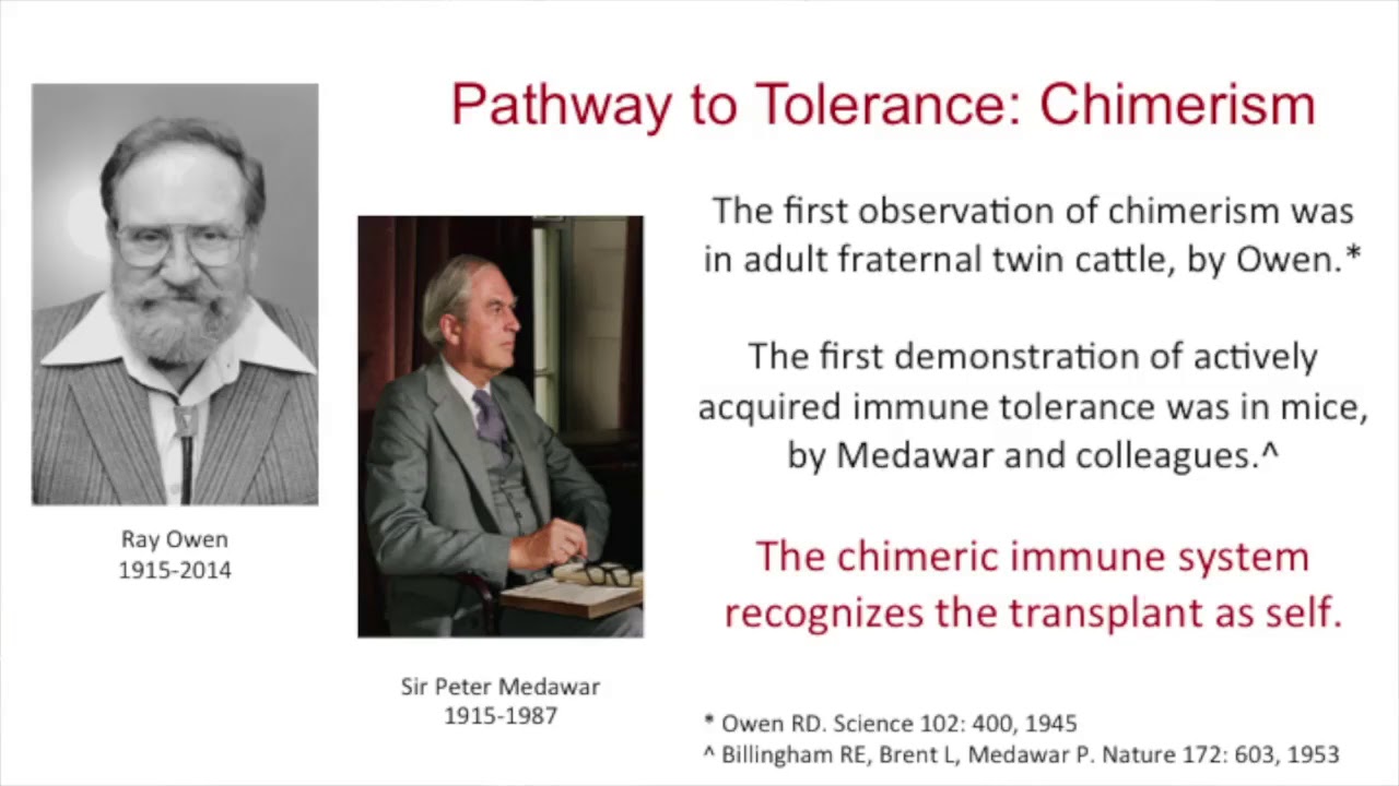 Tolerance Induction of Kidney Transplantation by John D. Scandling, MD