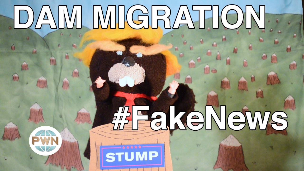 DAM MIGRATION