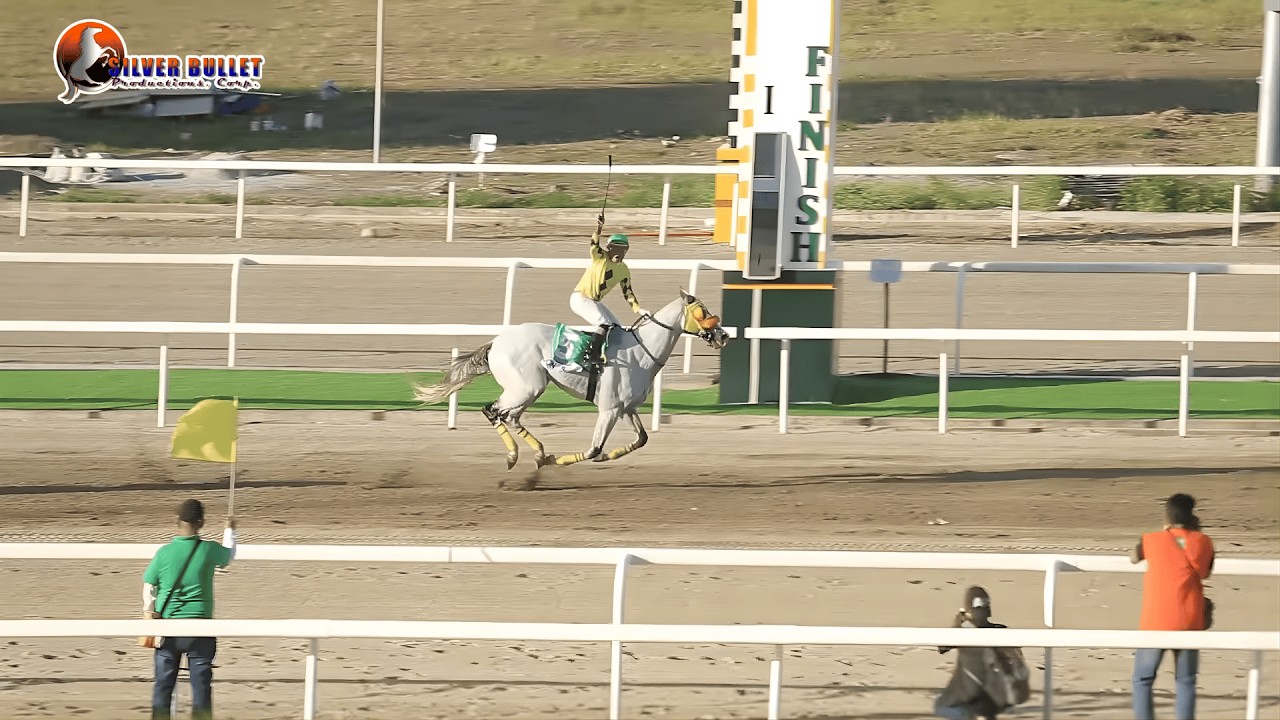 Presidential Gold Cup 2025 / 26th PHILTOBO Grand Championship Day