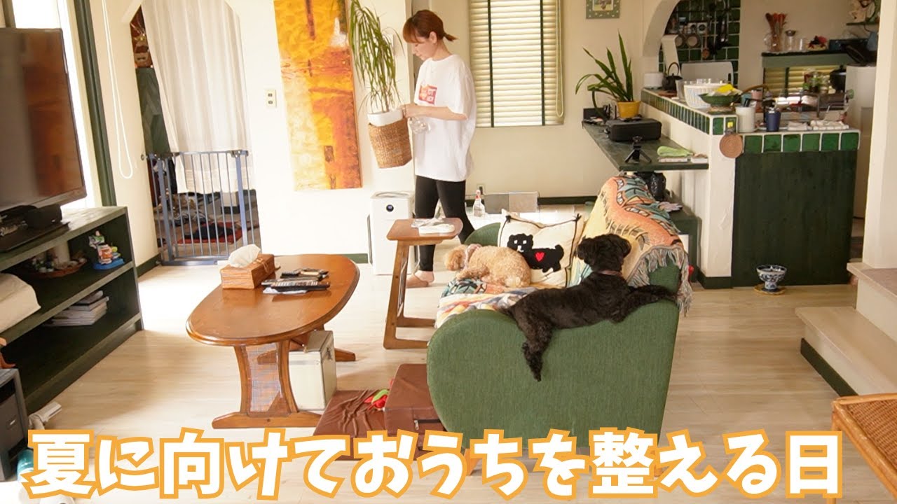 【梅雨の大掃除】いつもより丁寧におうちを整える日/パントリーのダニ対策/植物のお手入れ/クセ強主婦の日常