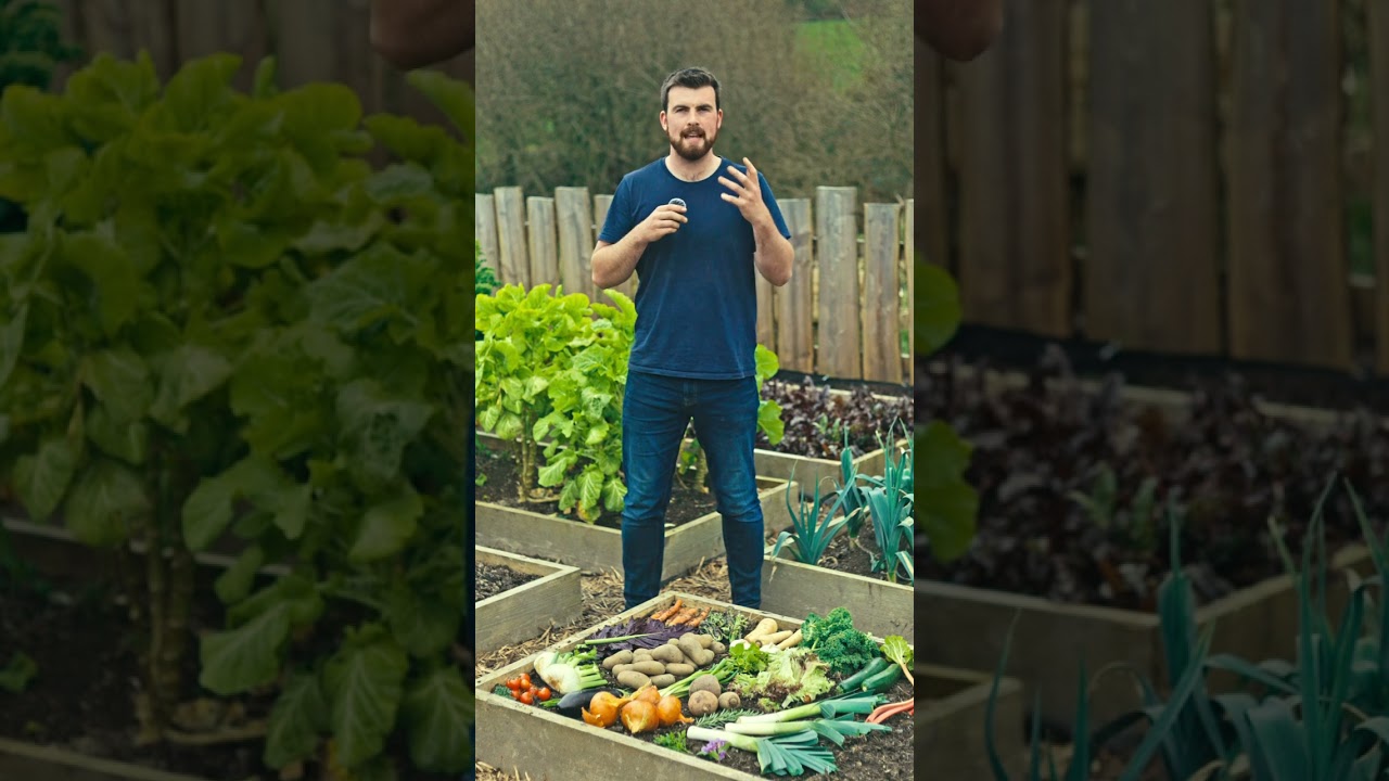 You can grow SO MUCH food in a tiny space! #shorts