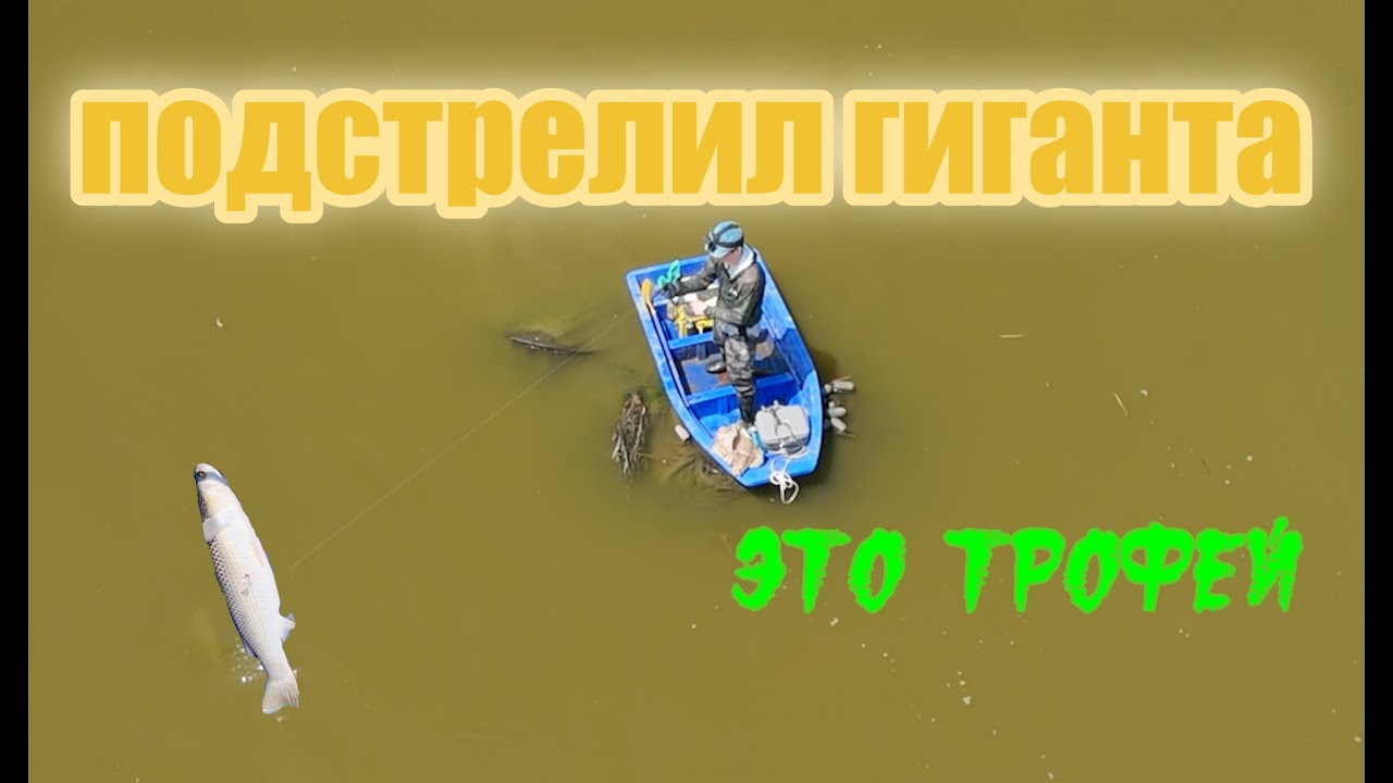 Такого у меня еще не было (рыбалка с рогаткой)