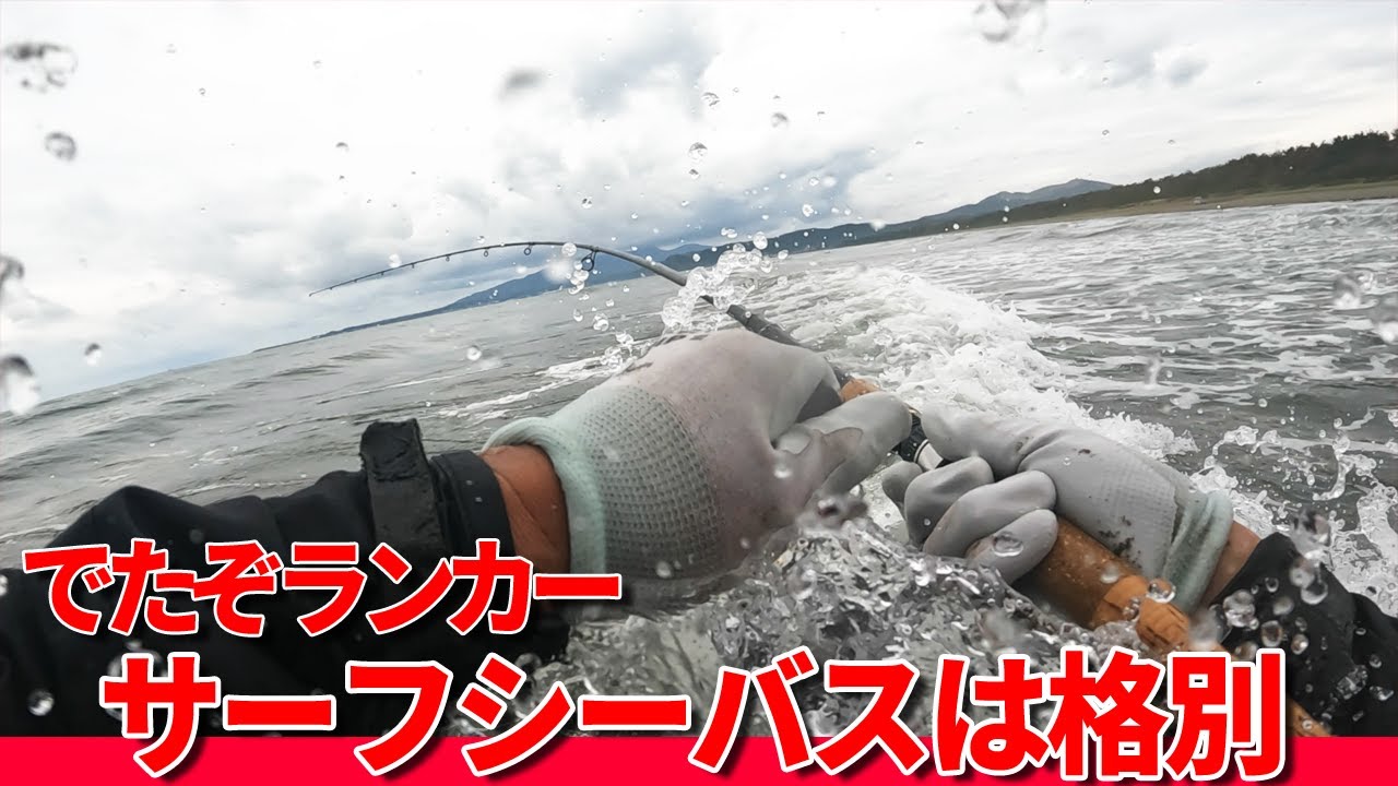 シーバス狙いでサーフウェディングしたらランカーシーバスが出た
