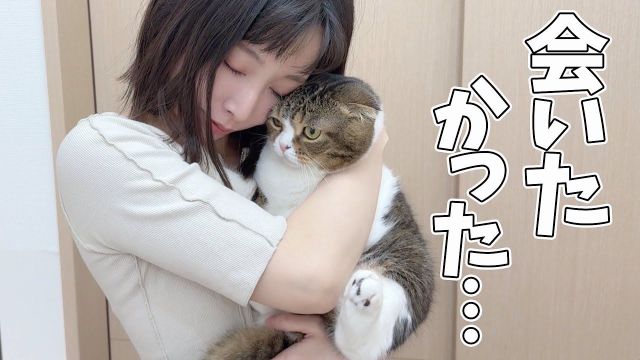 ママと再会できて嬉しさを爆発させる猫！
