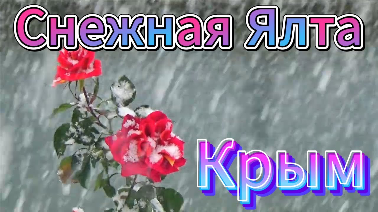 ▶️ СМОТРИТЕ какая бывает Ялта ЗИМОЙ / Крым в СНЕГУ / Жизнь в Ялте /Олег Цайгер Жизнь на море / Крым