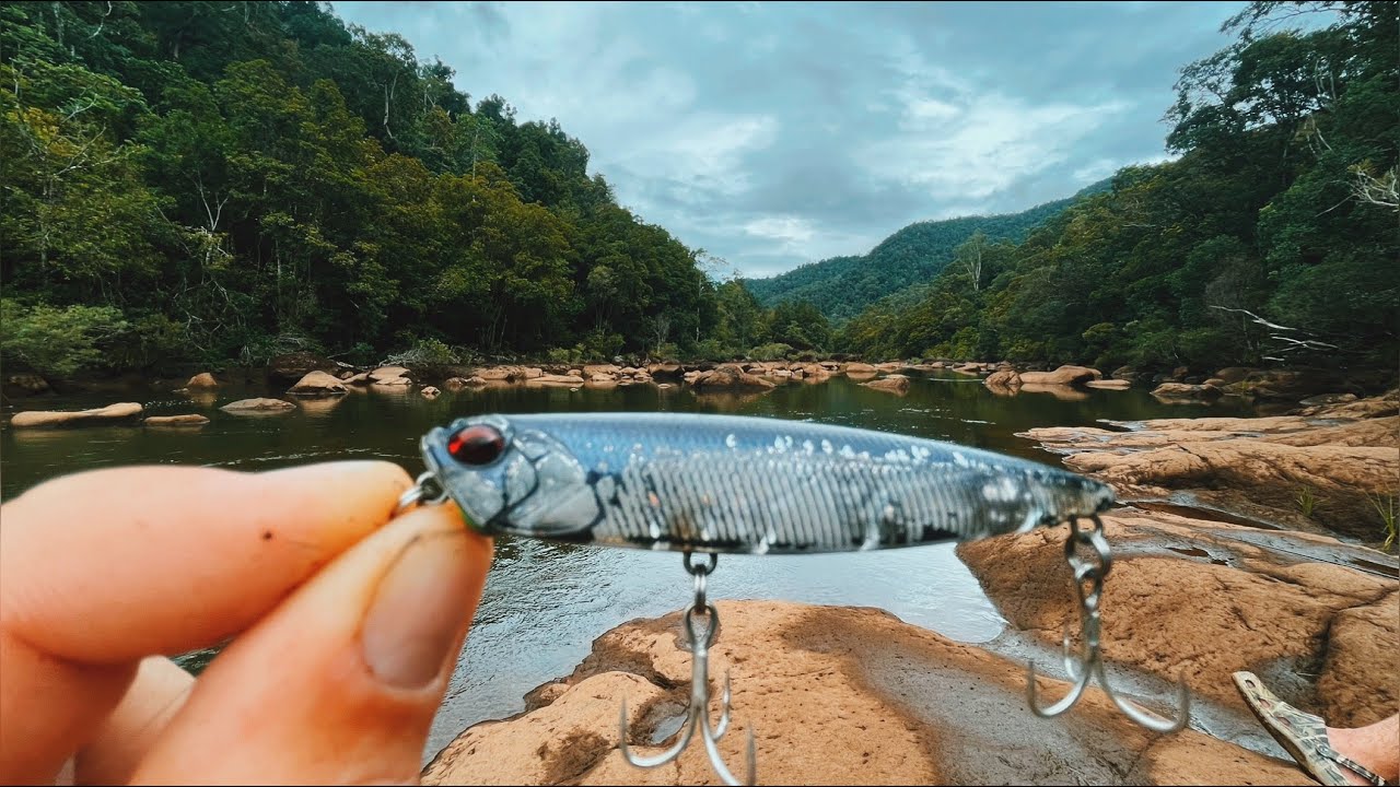 DOES THIS LURE WORK IN THE JUNGLE??? JUNGLE PERCH FISHING