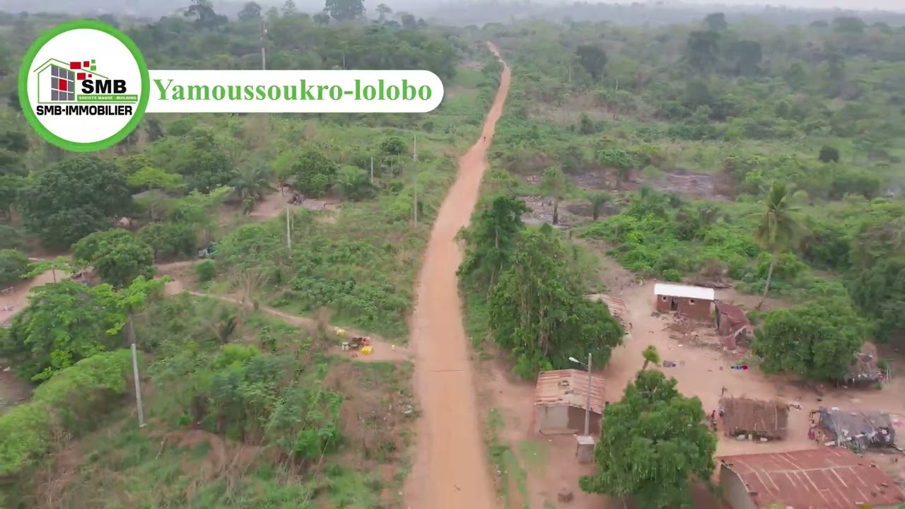 YAMOUSSOUKRO LOLOBO