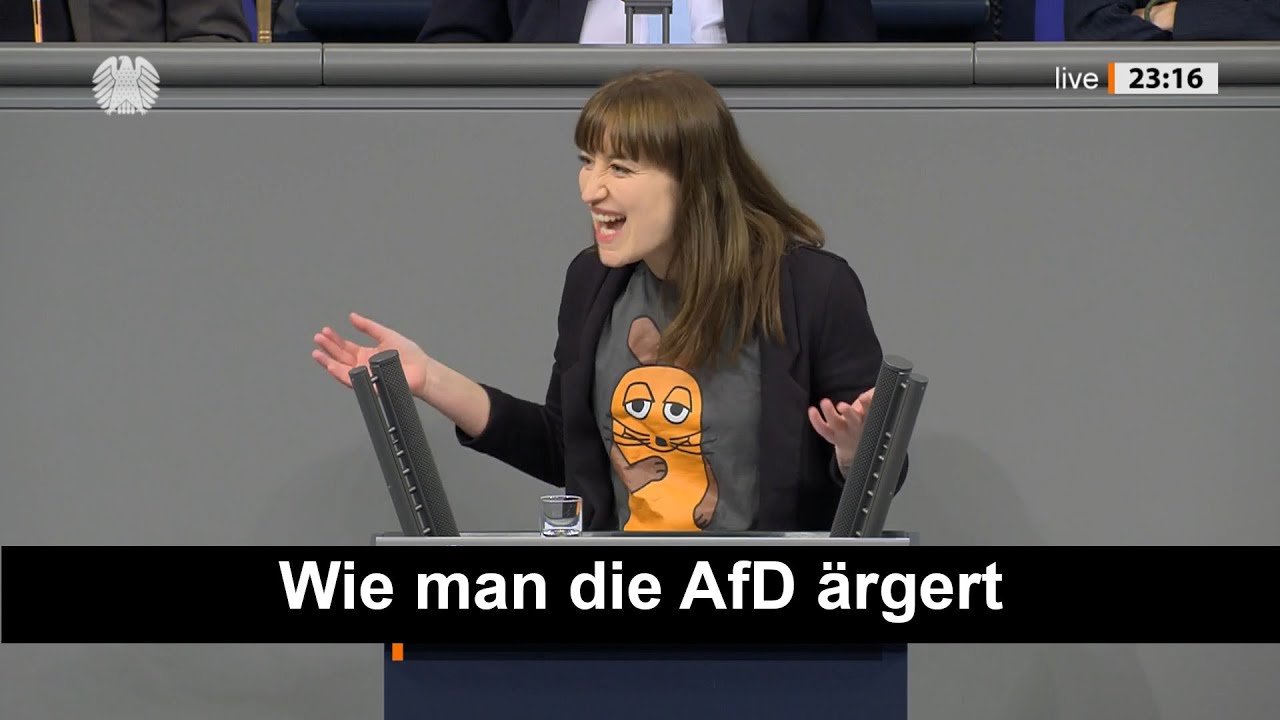 Wie man die AfD &auml;rgert 😂 | Heidi Reichinnek