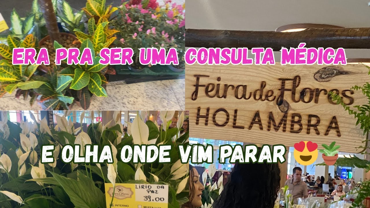 Fui ao médico e voltei com MUITAS PLANTAS 🌿😂 | Feira incrível ,preços acessíveis e plantas lindas🥰