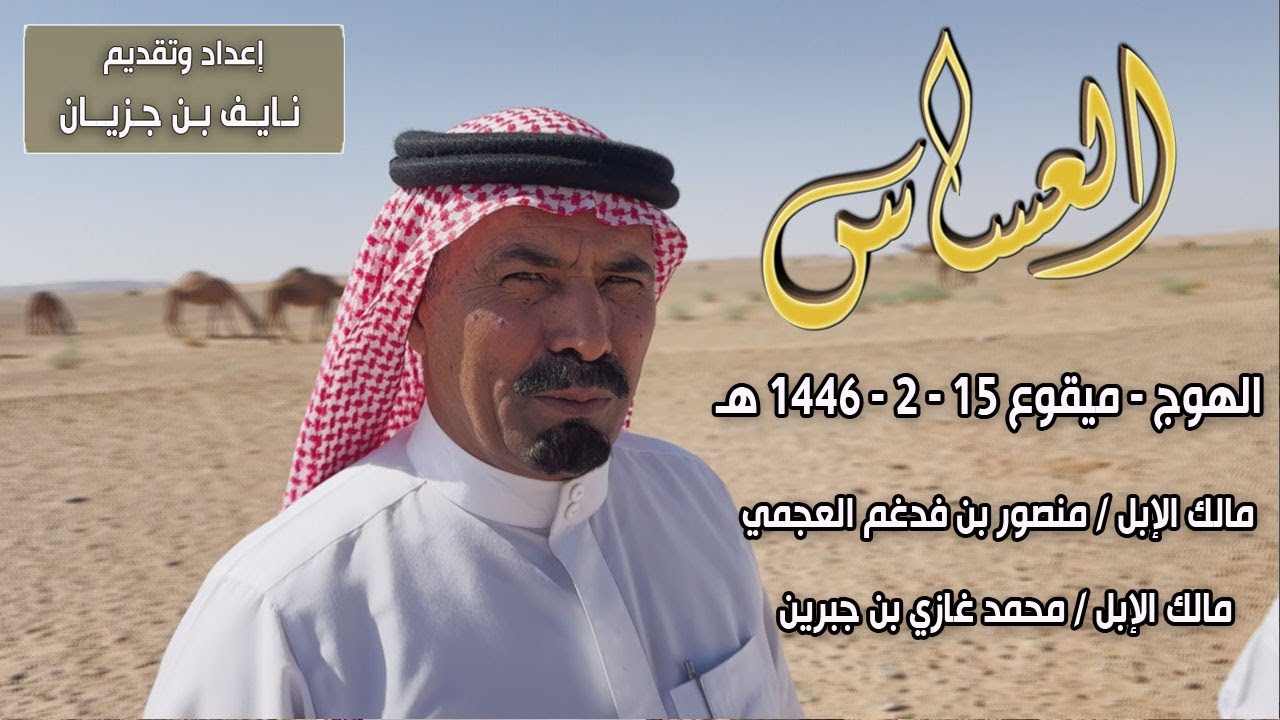العساس | الهوج - ميقوع 15-2-1446هـ | مالك الإبل/منصور بن فدغم العجمي - مالك الإبل/محمد غازي بن جبرين