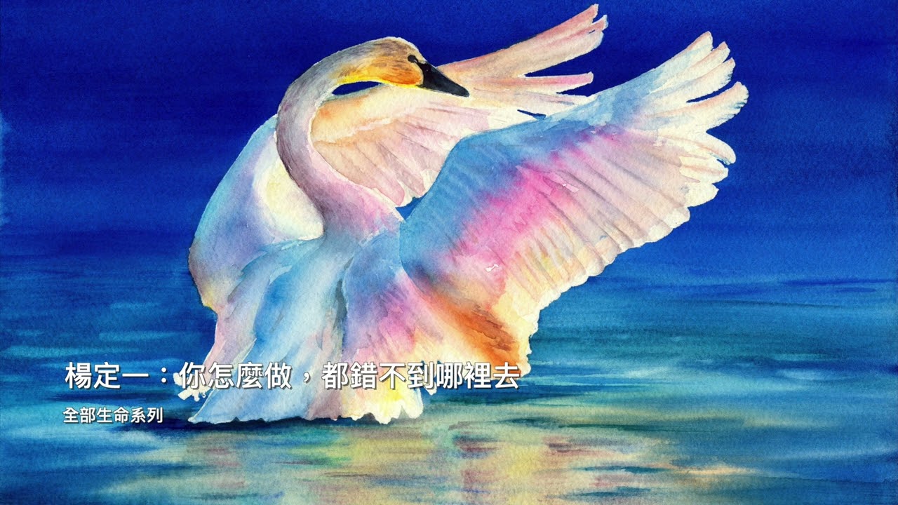 楊定一：你怎麼做，都錯不到哪裡去