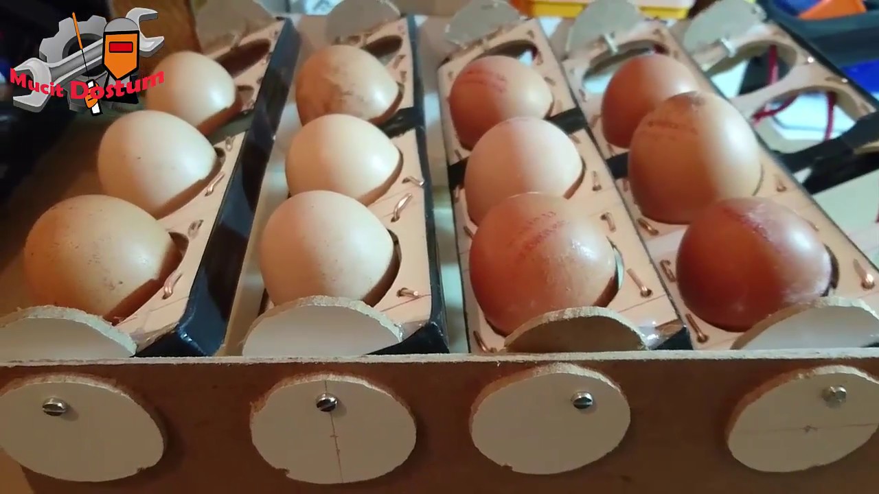 Kuluçka Makinesi İçin El Yapımı Otomatik Viyol (Yumurta Çevirici) hand-made incubator