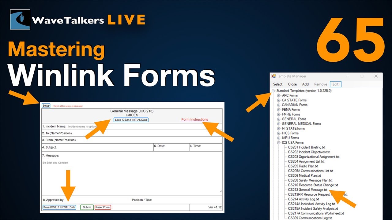 Mastering Winlink Forms: WaveTalkers LIVE 65