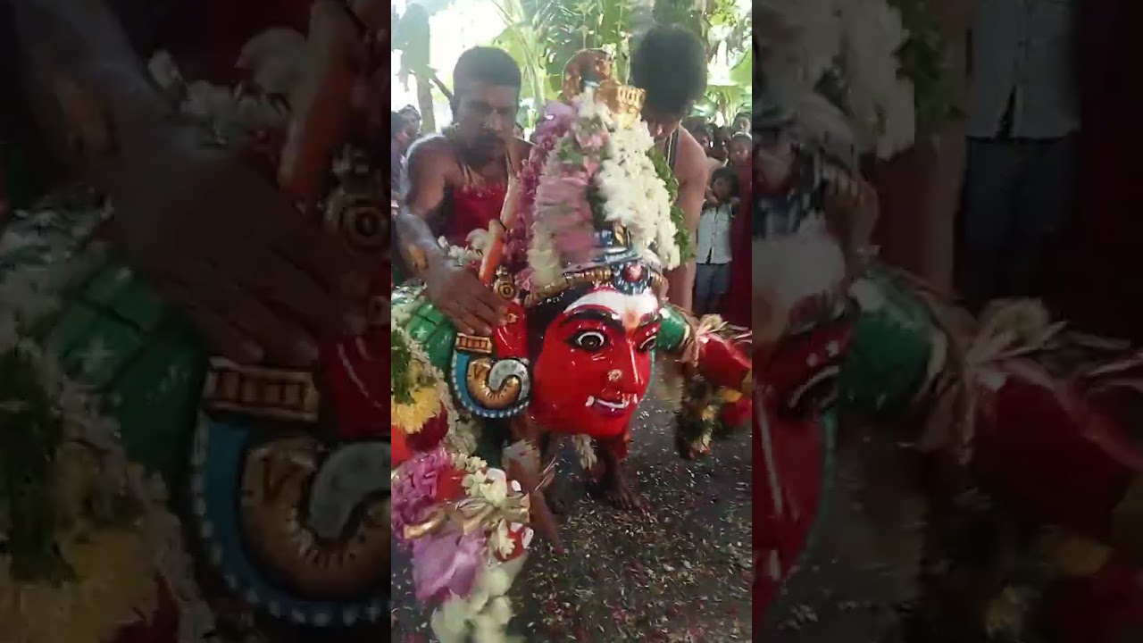thiruvavaduthurai kaliyattam 🔥🙏🙏🙏🥳 magudi video