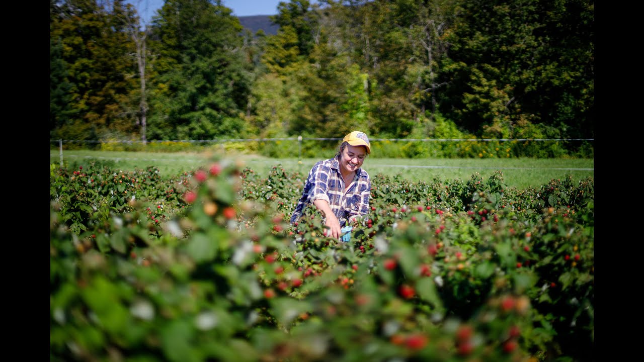 Berkshire Grown Keeps Farmers Farming!