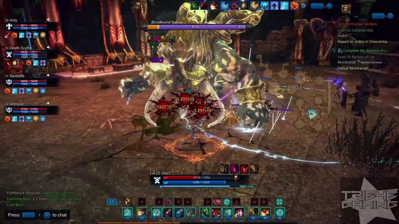 Tera PS4 TTS  Bastion of Lok Warrior PoV