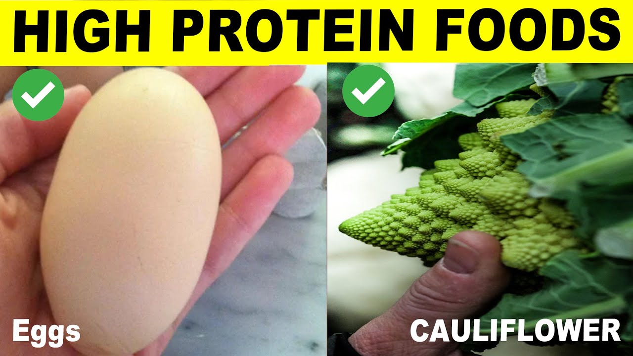 20 Foods High In Protein That You Should Be Eating