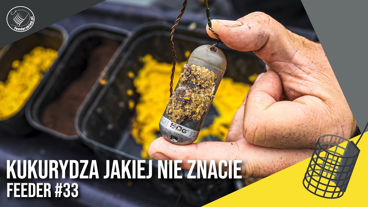 Kukurydza jakiej nie znacie | Feeder #33