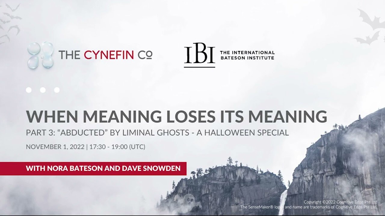 When meaning loses its meaning - Part 3, with Nora Bateson & Dave Snowden