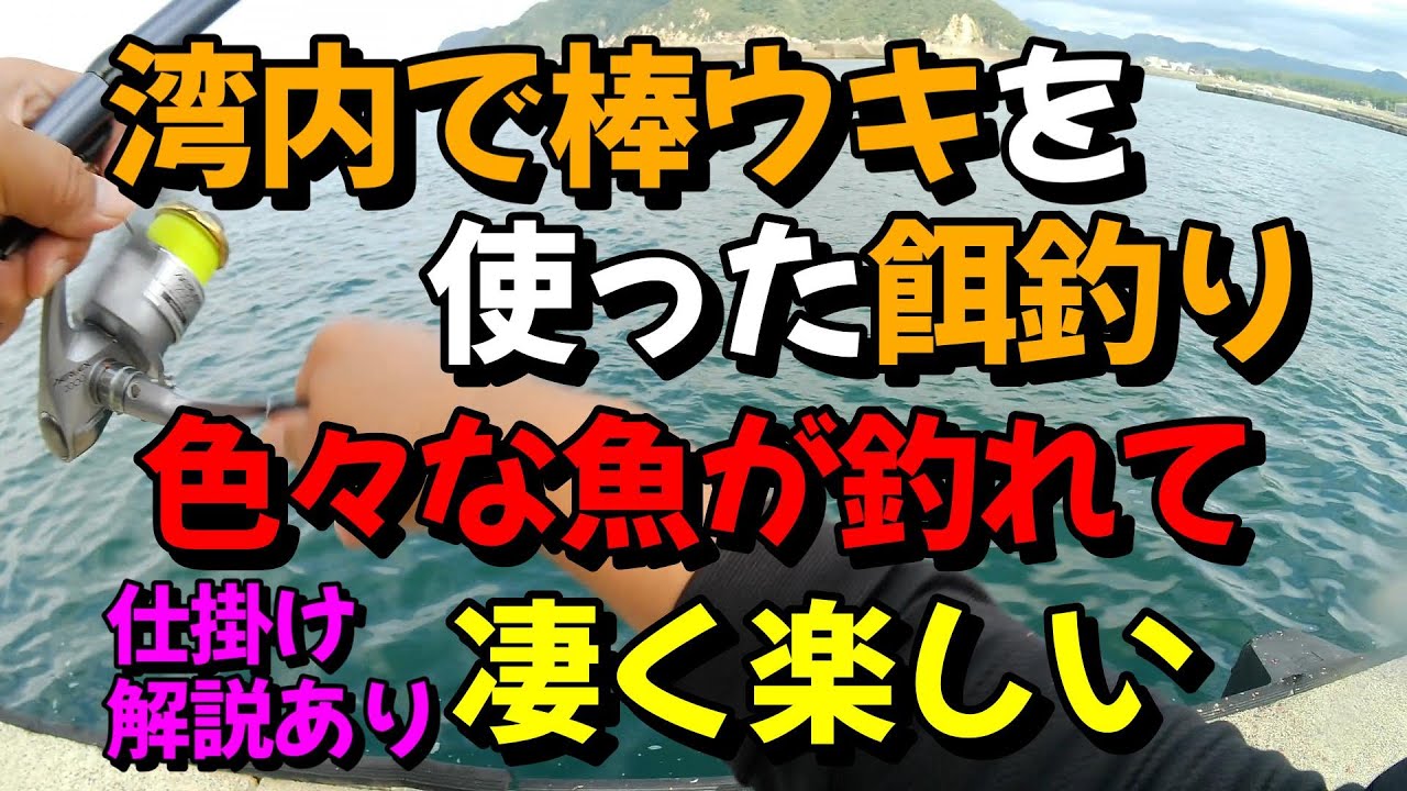 湾内で棒ウキを使った餌釣り色々な魚が釣れてとにかく楽しい。仕掛け解説あり！