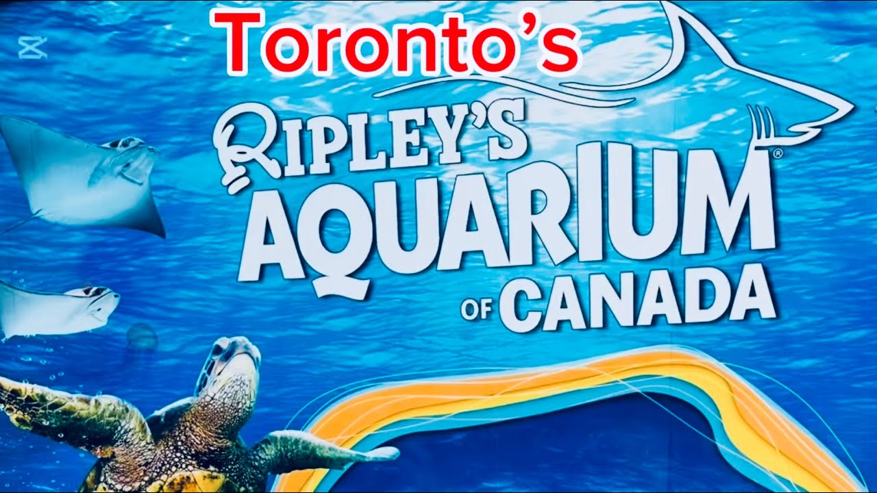 Toronto’s Ripley’s Aquarium- CANADA