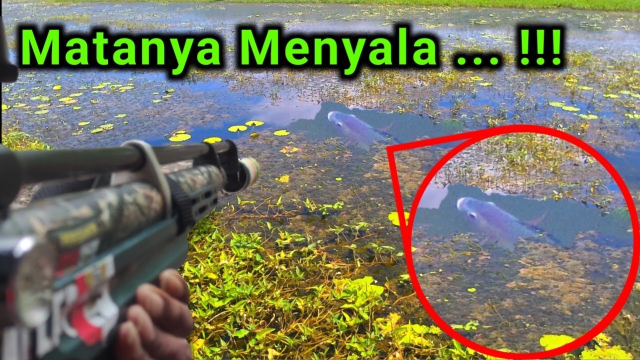 Melipir Spot Yang Sempat Viral #1 Sarang Babon Nila Yang Terabaikan