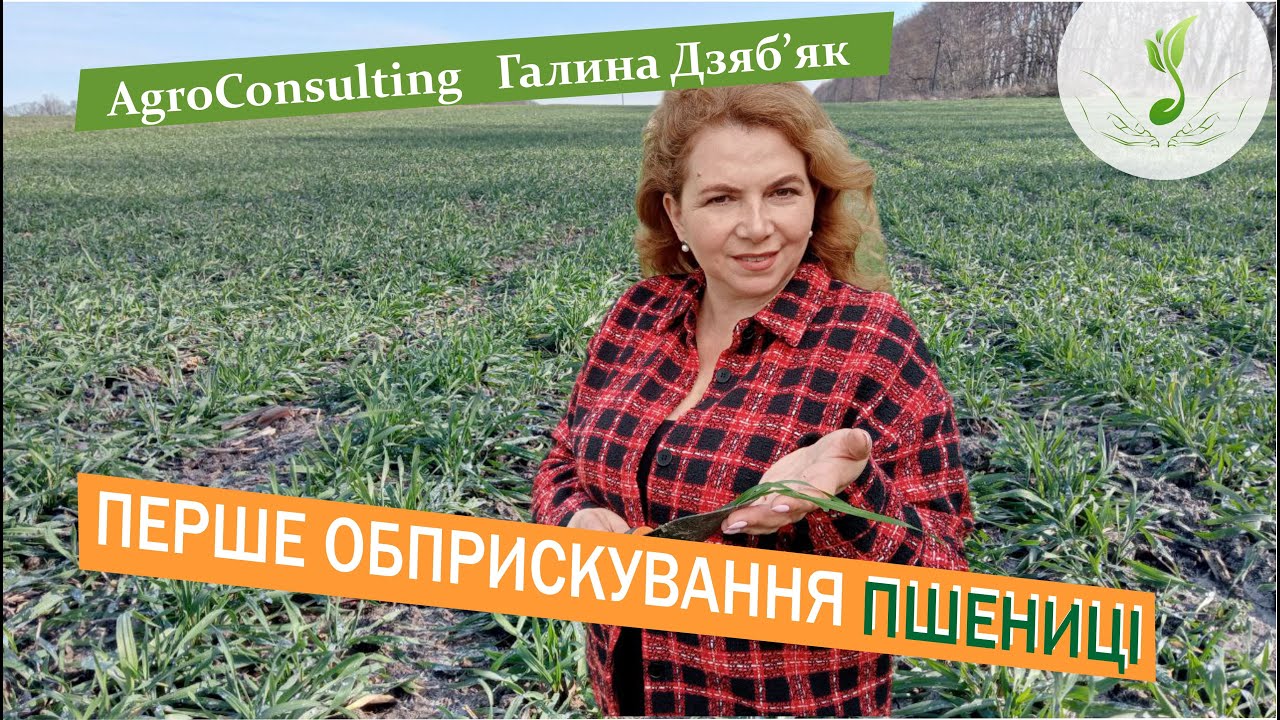 Що має бути в баковій суміші для першого обприскування пшениці у фазі кущення?