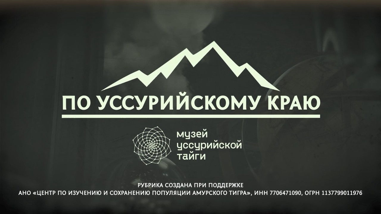 ✅ «По Уссурийскому краю». Пробковое дерево — амурский бархат.