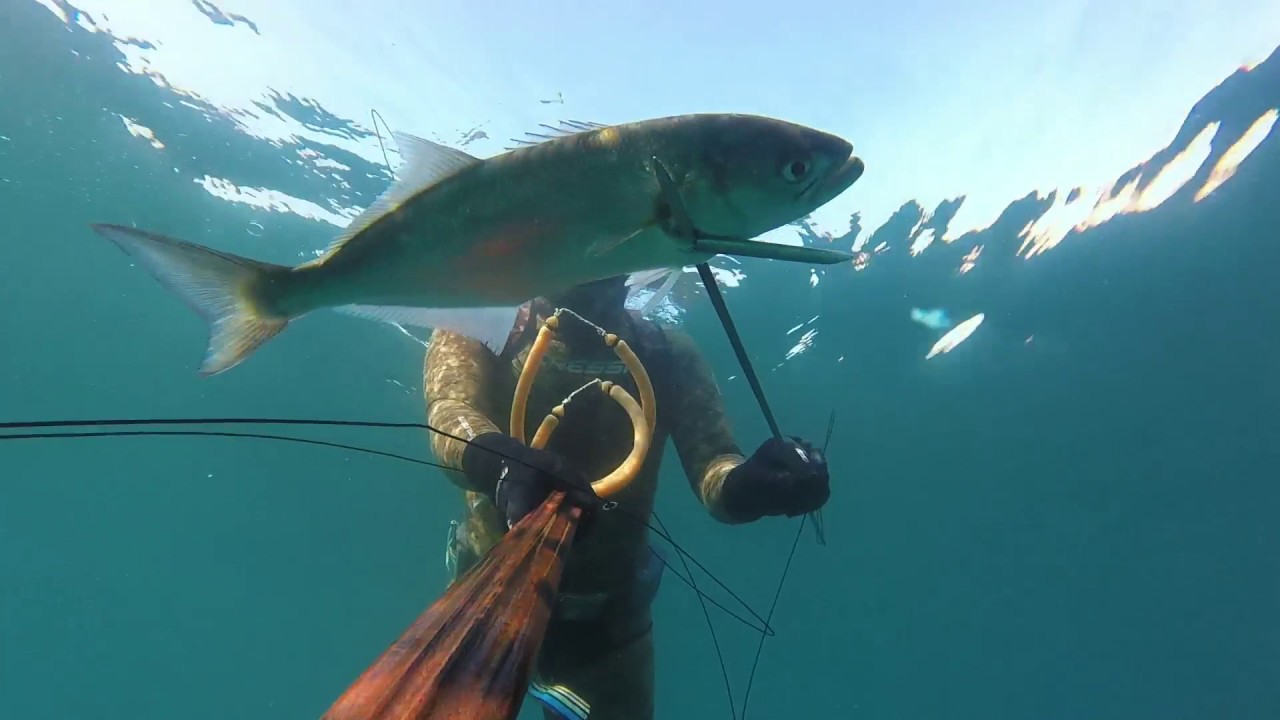 Pesca sub 2017 L'invasione dei Serra