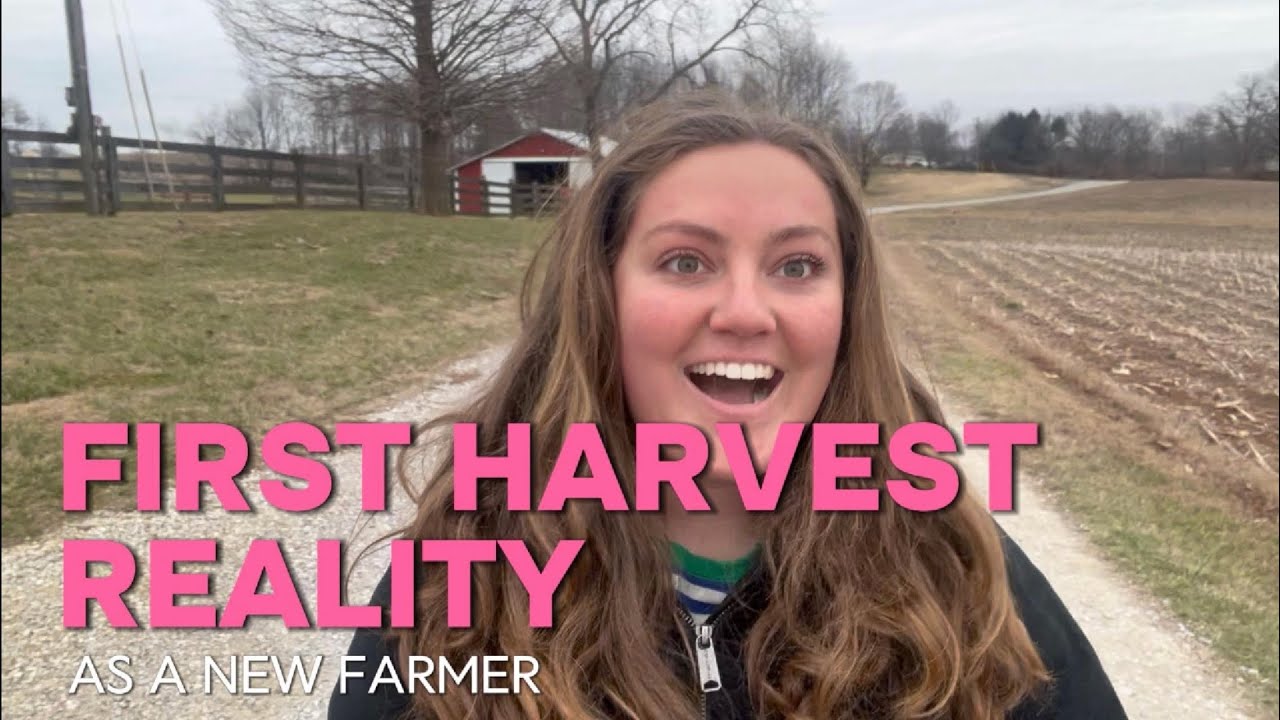 Becoming a Farmer: My First Harvest Reality🌽🌱👀