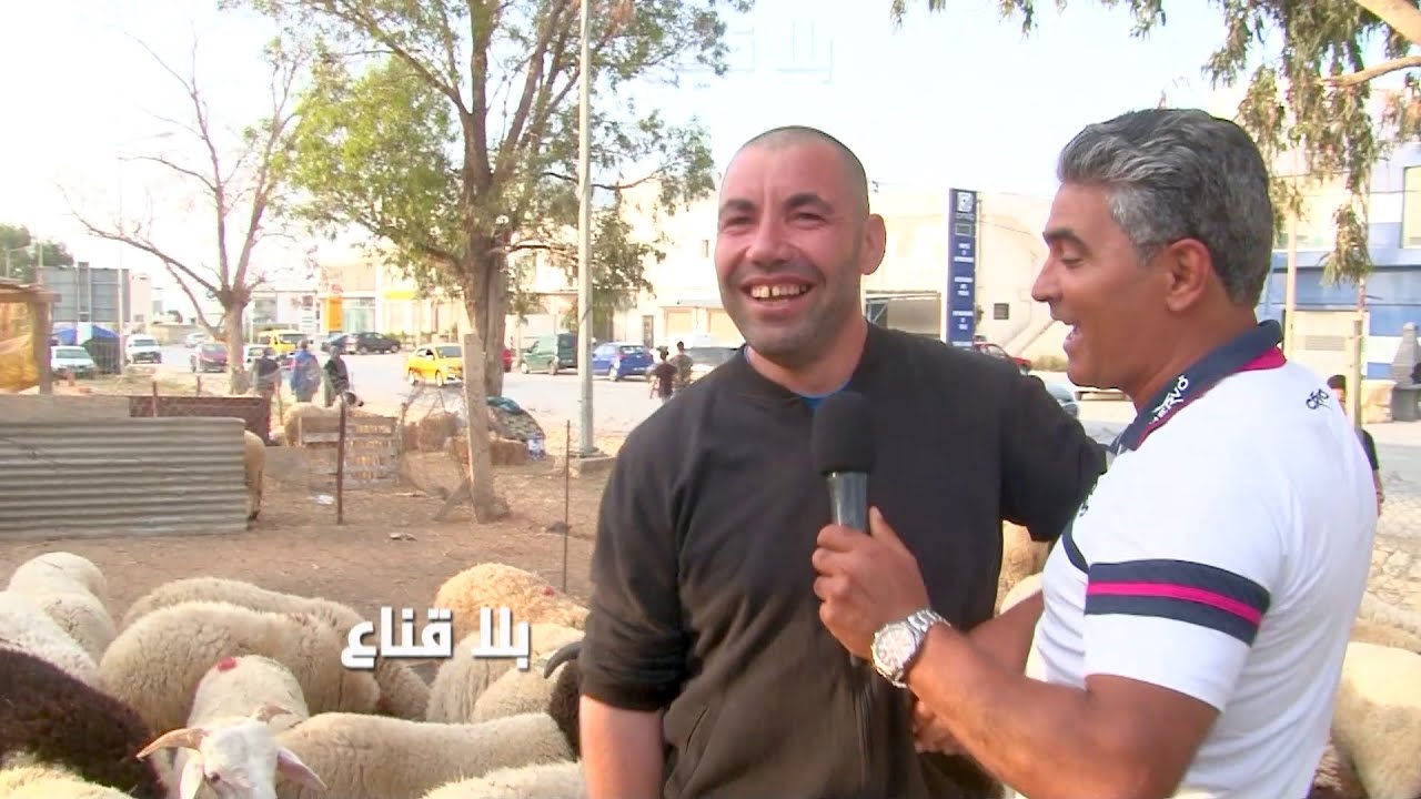 بيع واشري على االمباشر من الرحبة..تراجع في أسعار علوش العيد والثمن مقبول جدا للزوالي !!