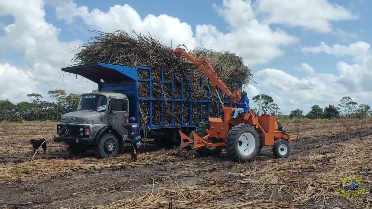 OLHA AS RELÍQUIAS VOLTANDO AOS CANAVIAIS!!