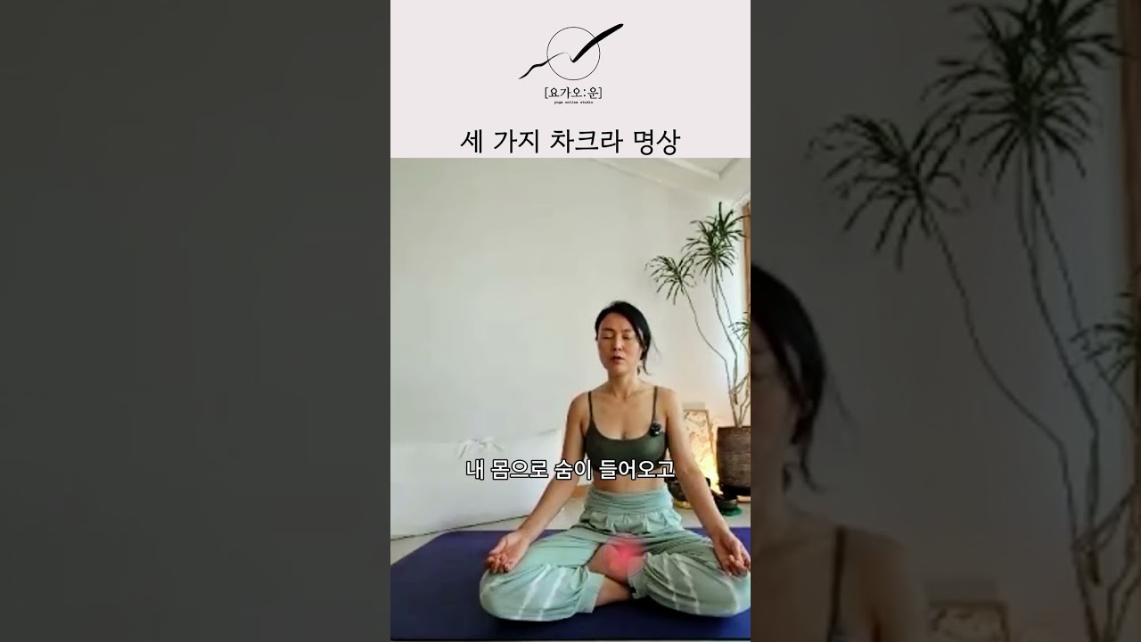 세 가지 차크라 명상