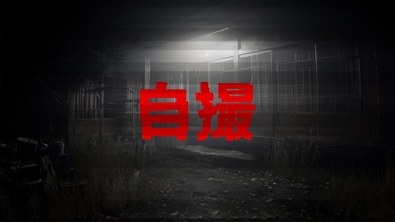 【自撮】残ったのはビデオカメラだけ(仮定)【にじさんじ／佐伯イッテツ】