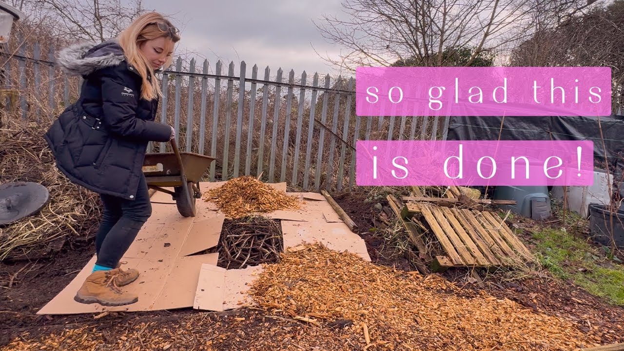 Ticking Off the To-Do's 🤩 Allotment Vlog 🌱 Ep.44 🌱