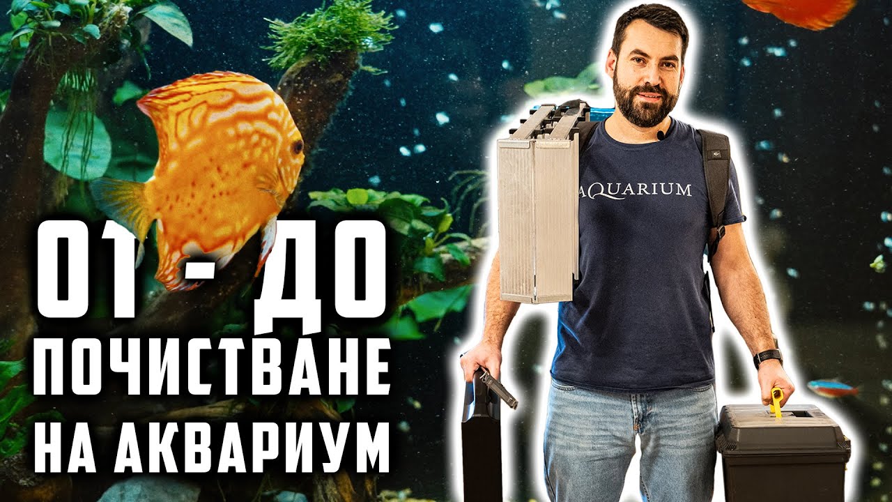 НАШАТА УСЛУГА - ПОДДРЪЖКА НА АКВАРИУМ