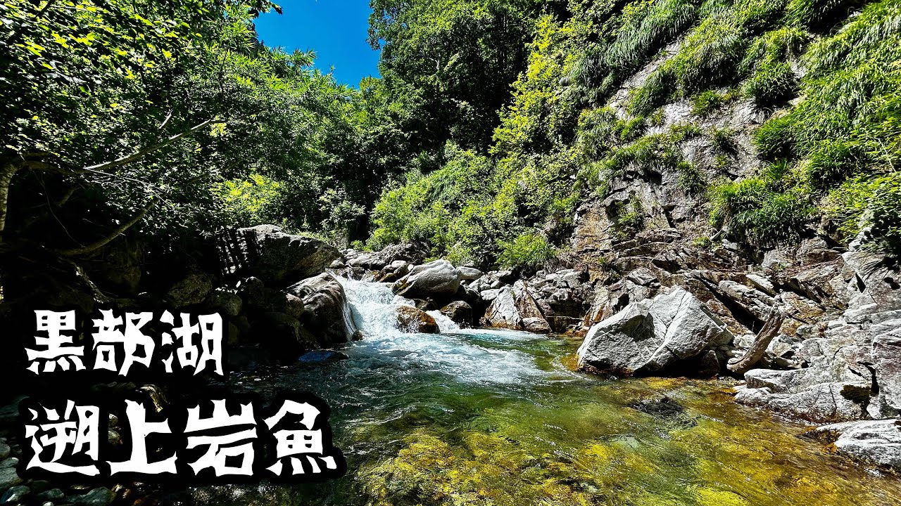 【真夏の奥黒部釣行】遡上尺岩魚とダム湖の虹鱒を狙う欲張り合宿！