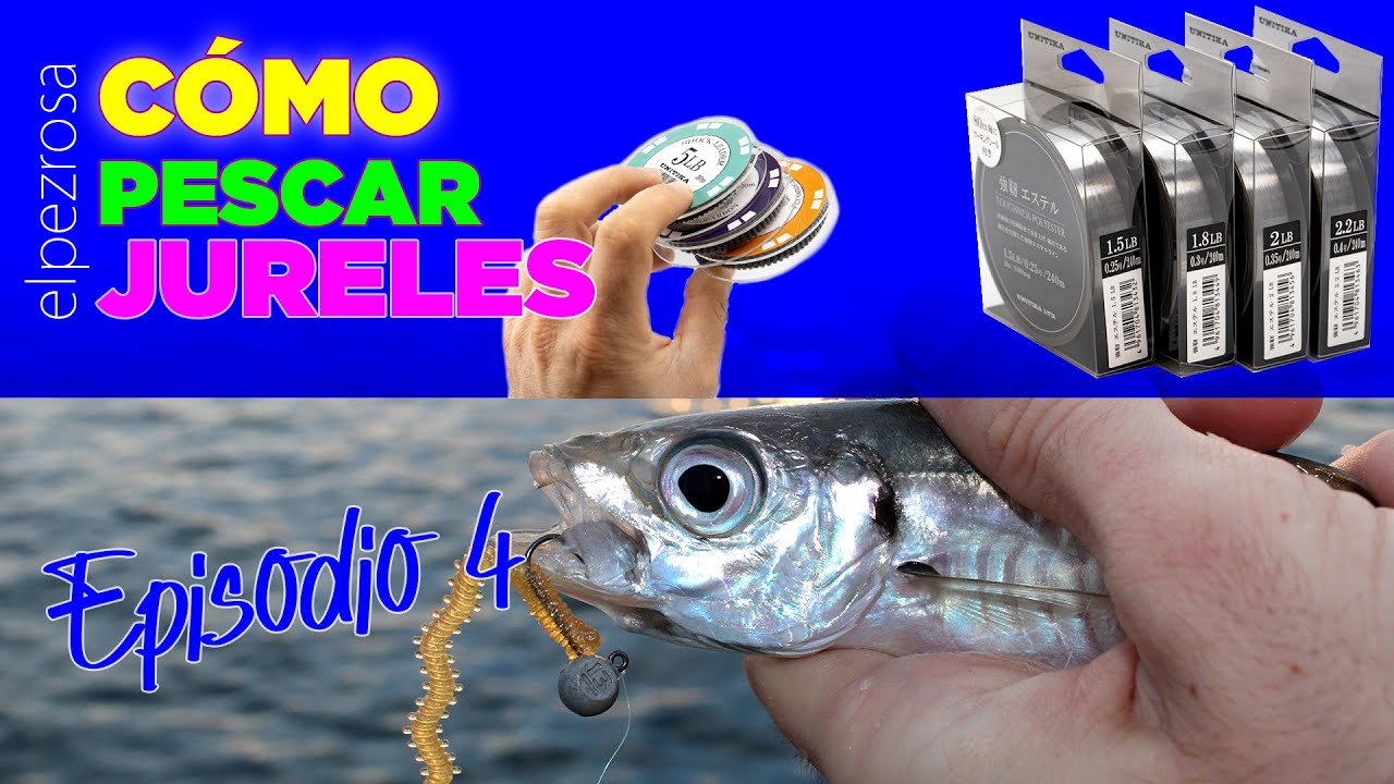 Descubre las mejores l&iacute;neas para pescar a Ajing