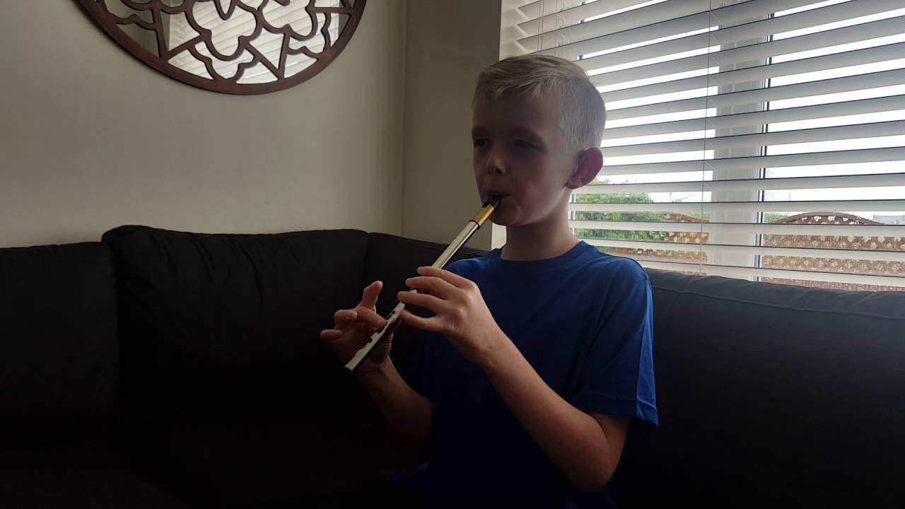 Belfast Hornpipe and Cronin's on Killarney whistle