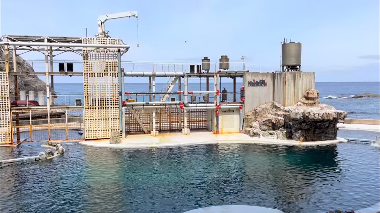 城崎マリンワールド　イルカ・アシカショー　2025年04月　フル動画