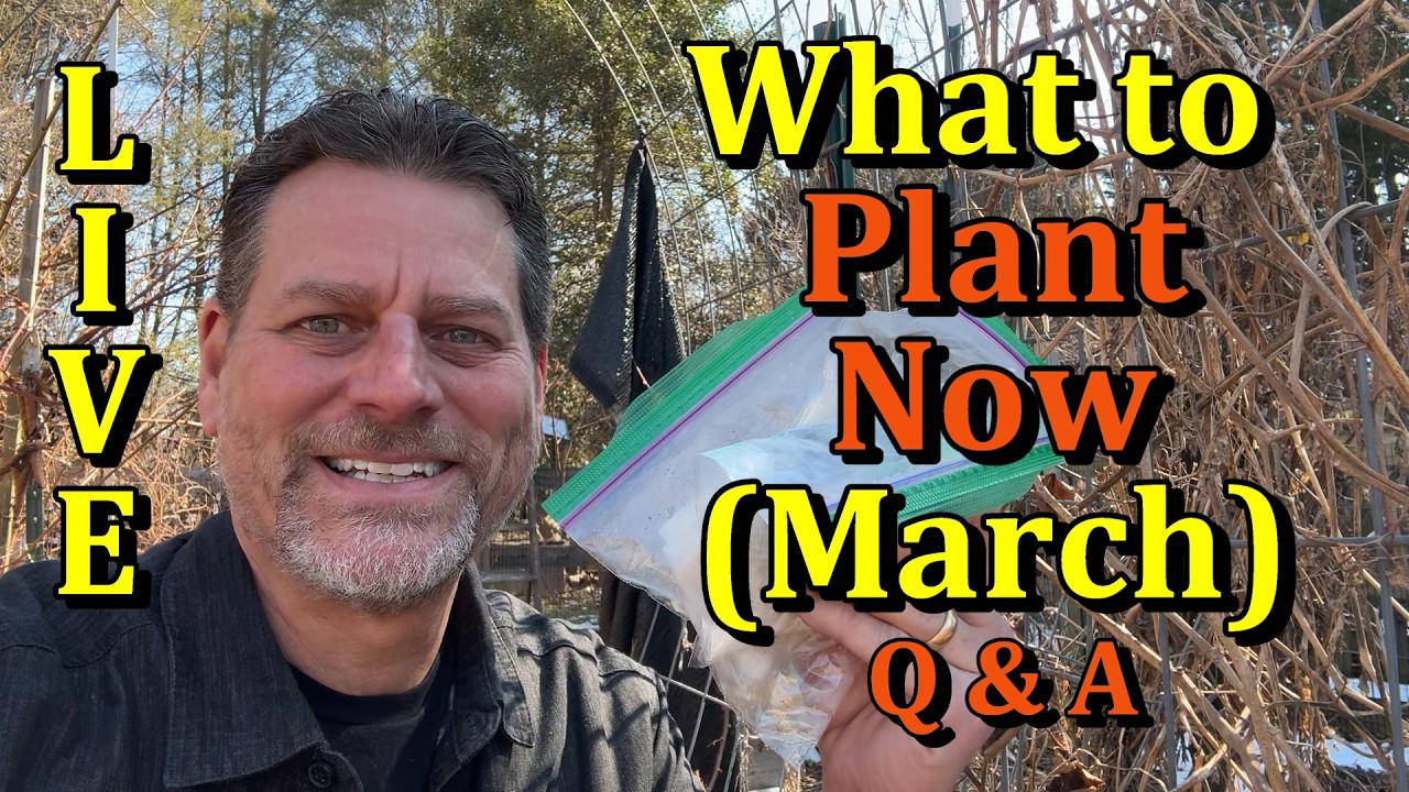 What to Plant in Your Garden & What Transplants to Start in March (Seeds, Plants, and Q & A Live)