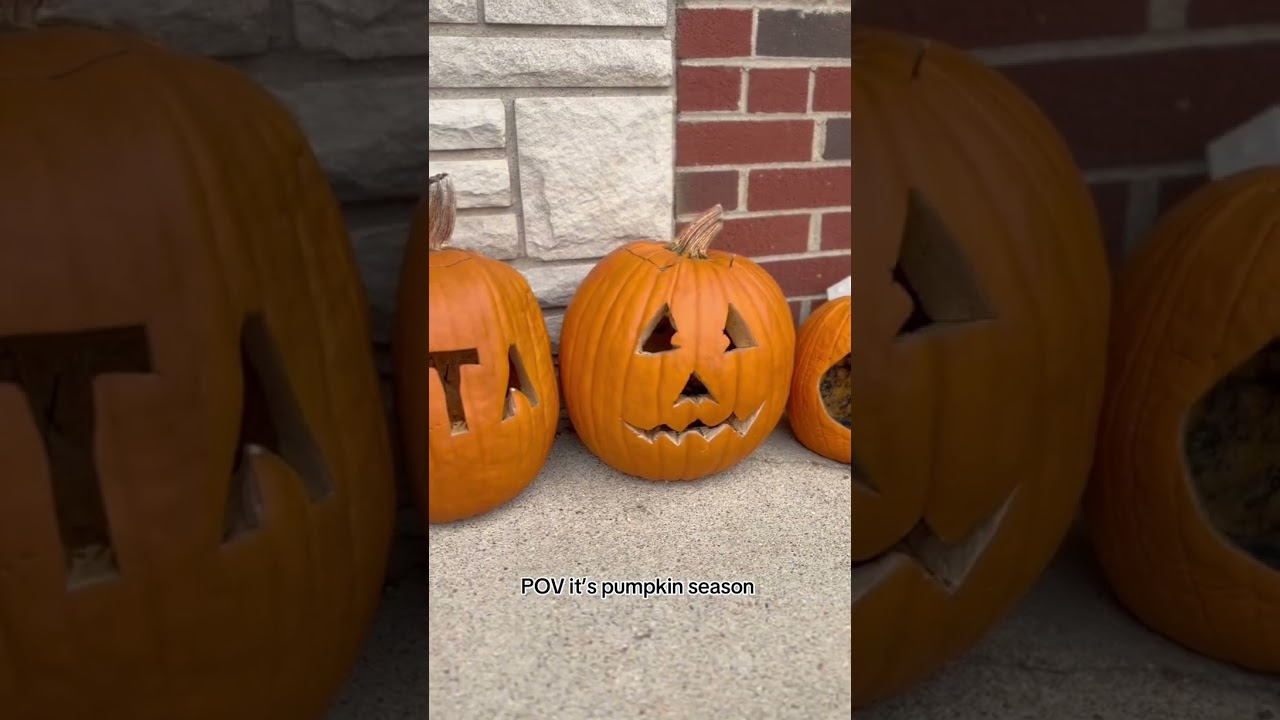 Pumpkin Season